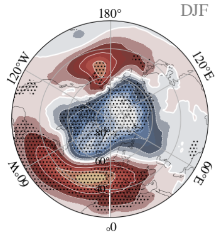 polar vortex